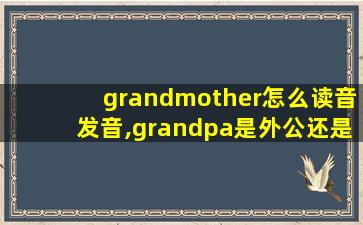 grandmother怎么读音发音,grandpa是外公还是爷爷
