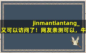 jinmantiantang_又可以访问了！网友亲测可以，牛！