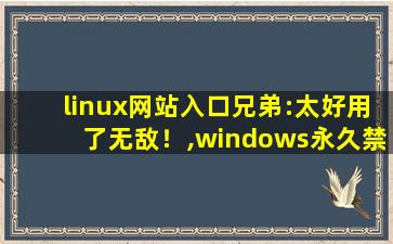 linux网站入口兄弟:太好用了无敌！,windows永久禁止更新