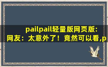 pailpail轻量版网页版:网友：太意外了！竟然可以看,pail是什么意思中文