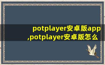 potplayer安卓版app,potplayer安卓版怎么设置