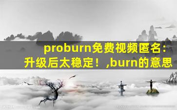 proburn免费视频匿名:升级后太稳定！,burn的意思