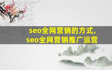 seo全网营销的方式,seo全网营销推广运营