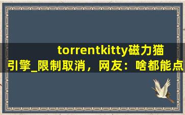 torrentkitty磁力猫引擎_限制取消，网友：啥都能点看！