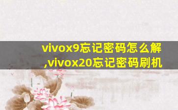 vivox9忘记密码怎么解,vivox20忘记密码刷机