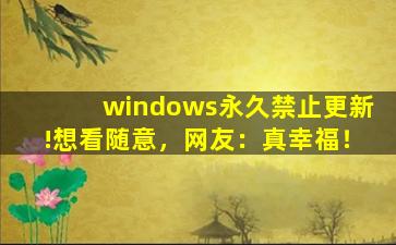 windows永久禁止更新!想看随意，网友：真幸福！