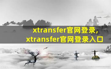 xtransfer官网登录,xtransfer官网登录入口