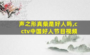 声之形真柴是好人吗,cctv中国好人节目视频