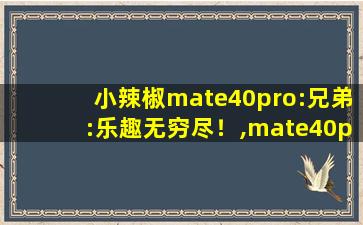 小辣椒mate40pro:兄弟:乐趣无穷尽！,mate40pro微距