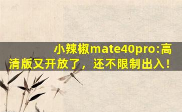 小辣椒mate40pro:高清版又开放了，还不限制出入！