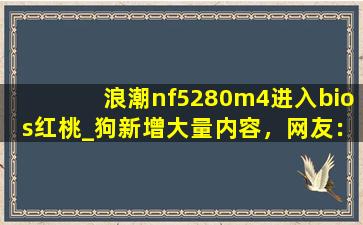 浪潮nf5280m4进入bios红桃_狗新增大量内容，网友：都是精品！