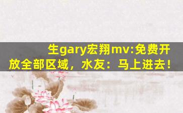 生gary宏翔mv:免费开放全部区域，水友：马上进去！