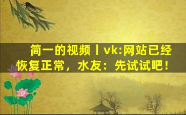简一的视频丨vk:网站已经恢复正常，水友：先试试吧！