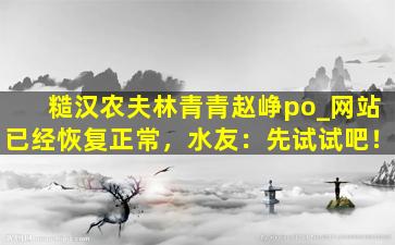 糙汉农夫林青青赵峥po_网站已经恢复正常，水友：先试试吧！