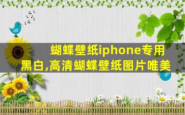 蝴蝶壁纸iphone专用黑白,高清蝴蝶壁纸图片唯美