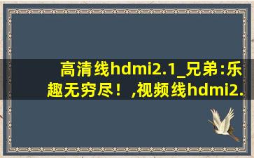 高清线hdmi2.1_兄弟:乐趣无穷尽！,视频线hdmi2.1